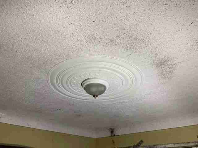 Testing again(31).jpg